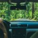 A couple sitting in a car driving in a forest after packing their road trip essentials