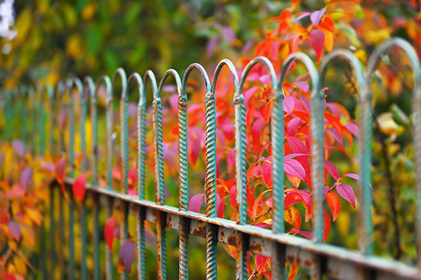 green fence with flowers