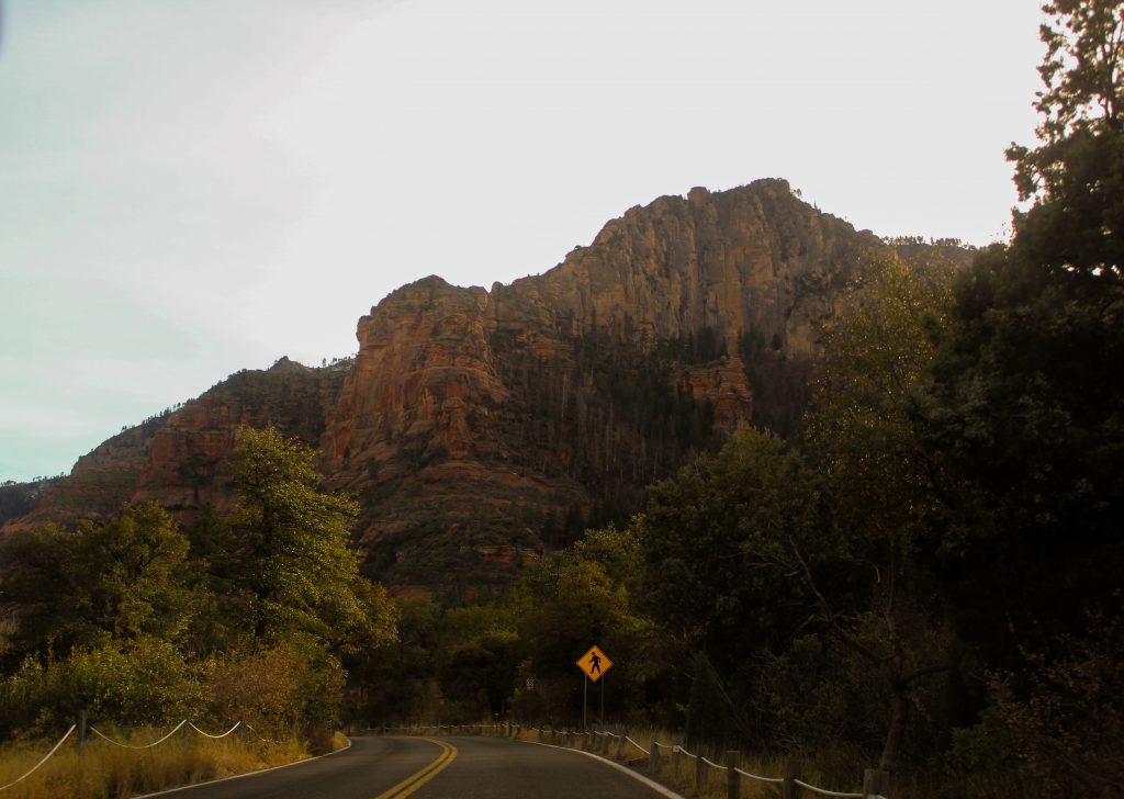 view of a road in arizona